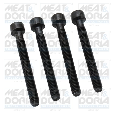 Screw, injection nozzle holder
